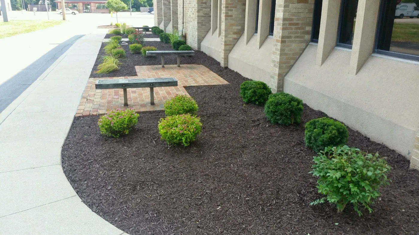 A freshly mulched landscape bed with shrubs and brick pavers, finished with bulk mulch from the Lammon Brothers yard